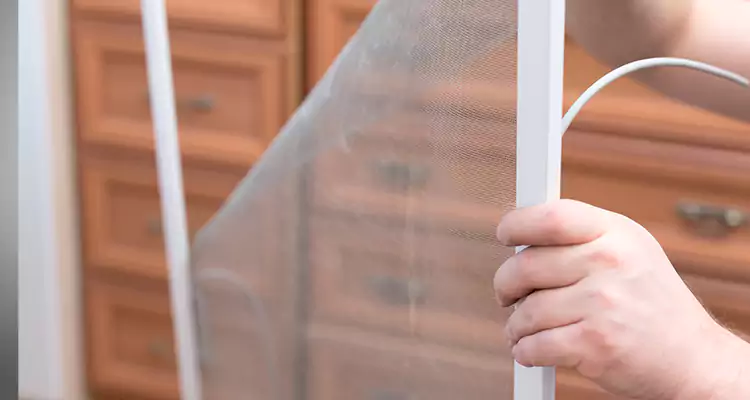 Privacy Mesh Screen Door Installation in West Pensacola, FL