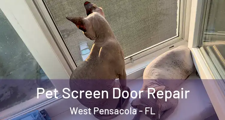  Pet Screen Door Repair West Pensacola - FL