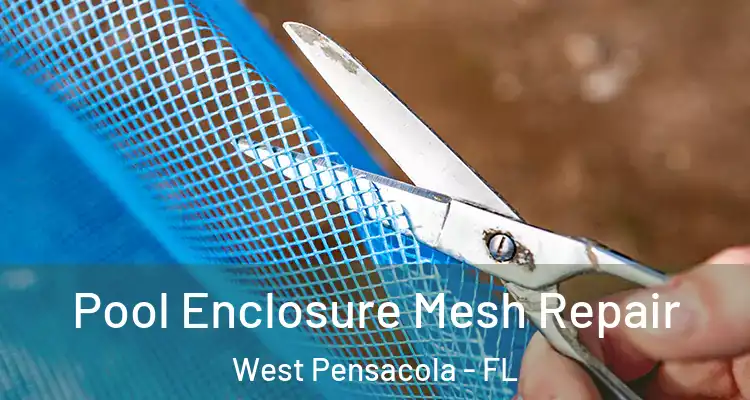  Pool Enclosure Mesh Repair West Pensacola - FL